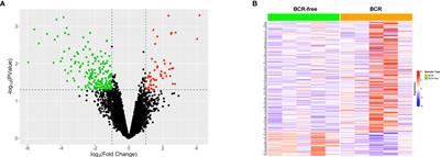 Prediction of Biochemical Recurrence-Free Survival of Prostate Cancer Patients Leveraging Multiple Gene Expression Profiles in Tumor Microenvironment